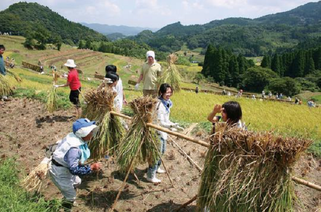 移住体験の写真