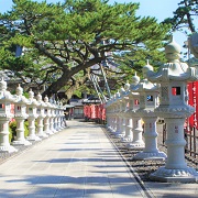 天津小湊地域の写真