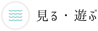 見る・遊ぶ