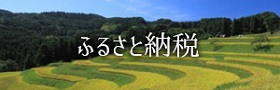 ふるさと納税(観光サイト)