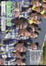 第81号 令和7年5月発行(令和7年度第1回定例会・第1回臨時会)