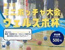 第１回ミニボッチャ大会 ウェルスポ杯の画像