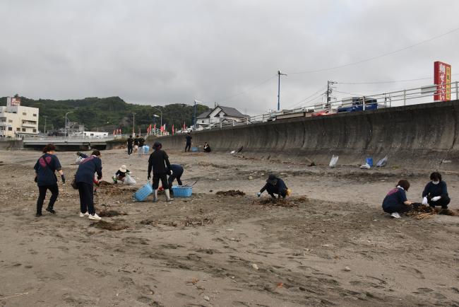 海岸清掃の様子