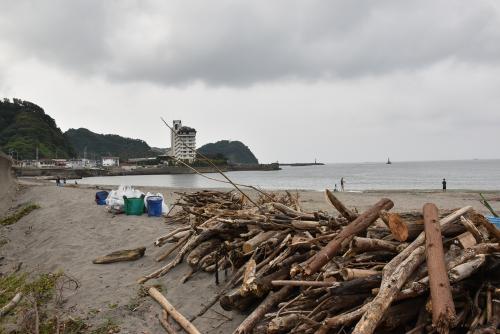 集めた流木の写真