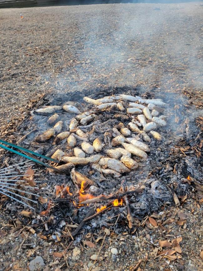 集めた木の枝で焼き芋をする様子