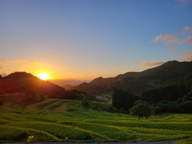 大山千枚田と朝日の写真3