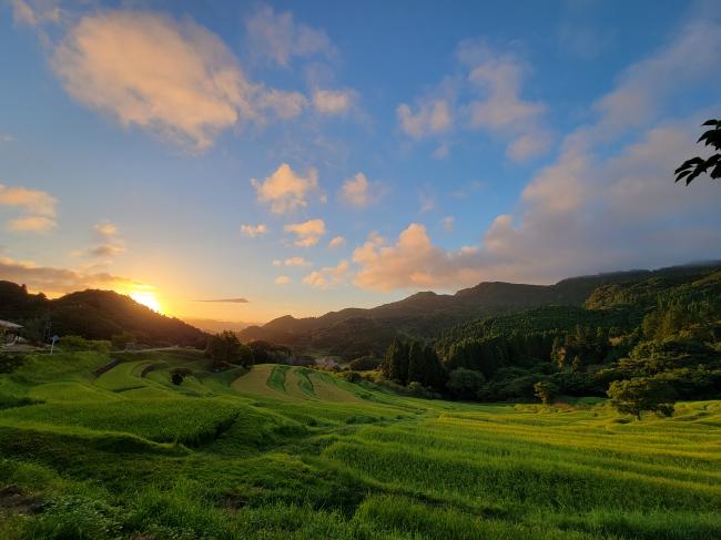 大山千枚田と朝日の写真11