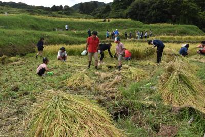 稲を刈り取った田んぼ