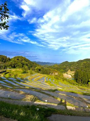 棚田の風景