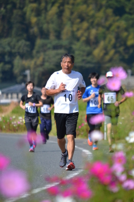 広報かもがわ11月1日号