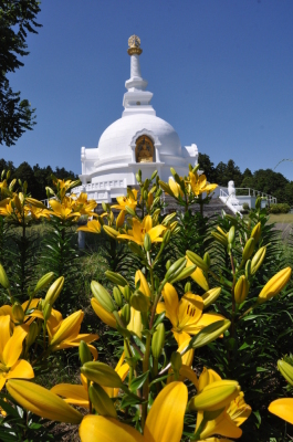 6月15日号表紙