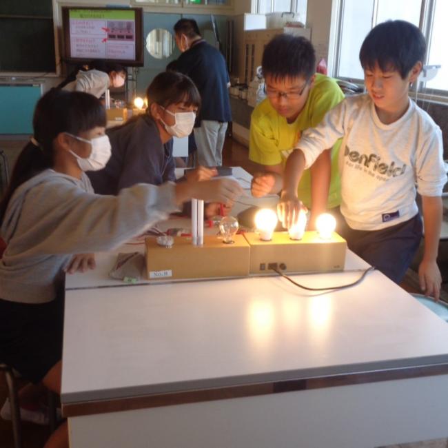 三種類の電球の温かさを比べる西条小学校の児童たち