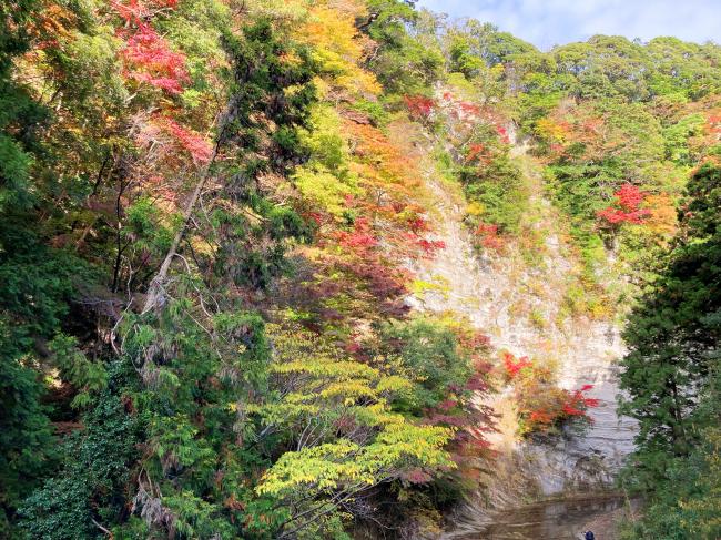 四方木地区白岩橋からの紅葉（色づき始め）