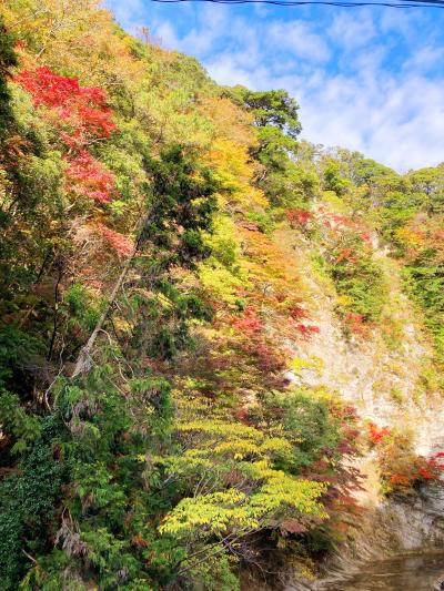 四方木地区白岩橋からの紅葉（色づき始め）と青空