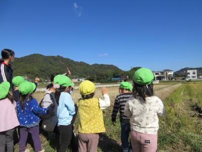 11／14【お散歩】気持ちのいいお空だねー！