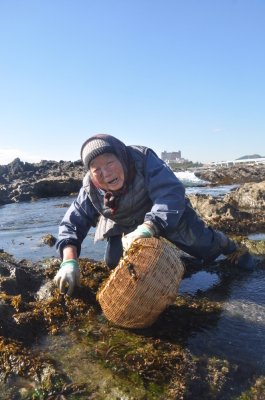 広報かもがわ1月15日号