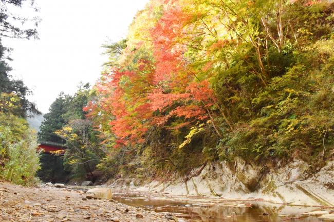 白岩橋から降りた川辺からの紅葉