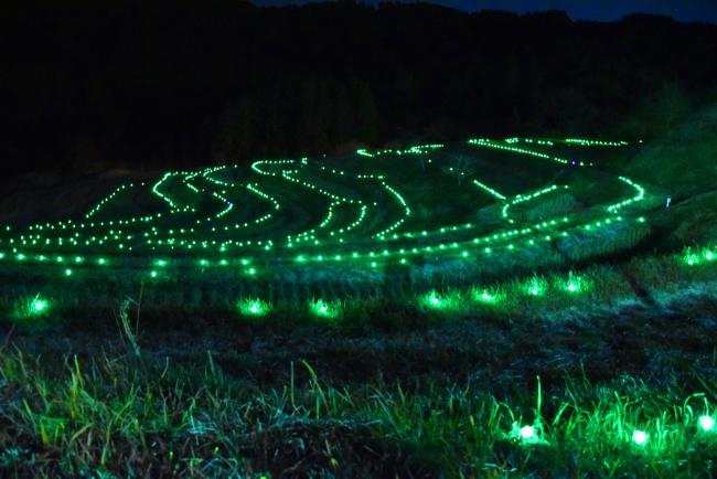 緑色のLEDにライトアップされた棚田のあかり