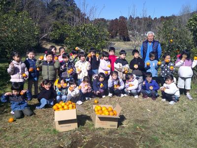 みかん畑で、杉田さんと一緒に