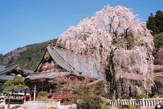 身延山久遠寺画像