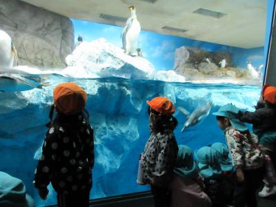 おーい！ペンギンさん！(お別れ遠足)