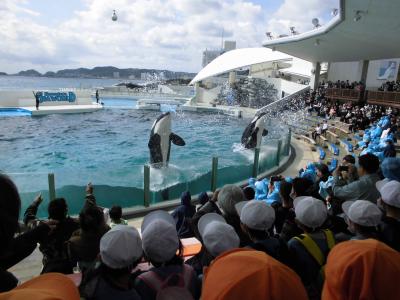 おわかれ遠足　「シャチのショー　かっこよかったよ」