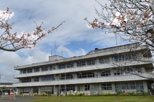 桜と校舎