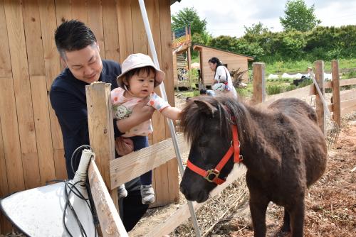 ポニーに触る子ども