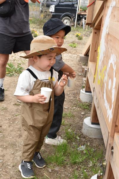 農園の小屋の壁をペイントする男の子の兄弟