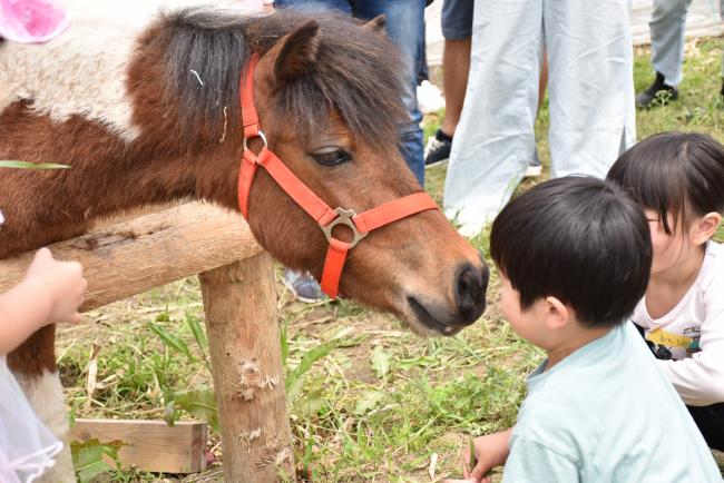 ポニーと男の子