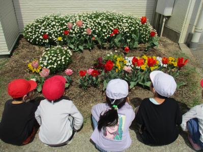「わぁ！きれいなお花」