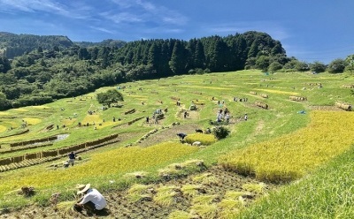 NPO法人大山千枚田保存会