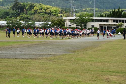 体操の全景