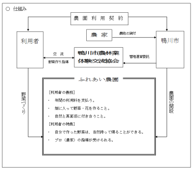 気軽に野菜づくりを楽しんでみませんかの画像2