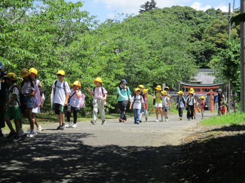緑の中を