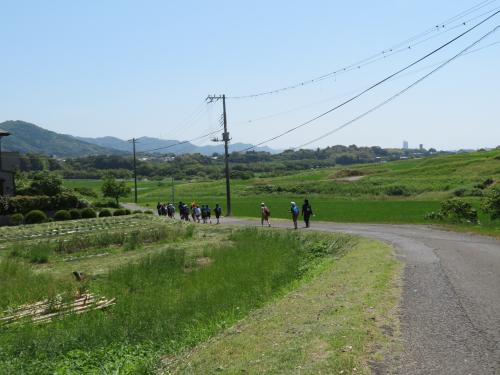 田んぼの中
