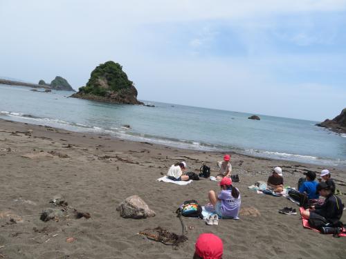 海岸での昼食
