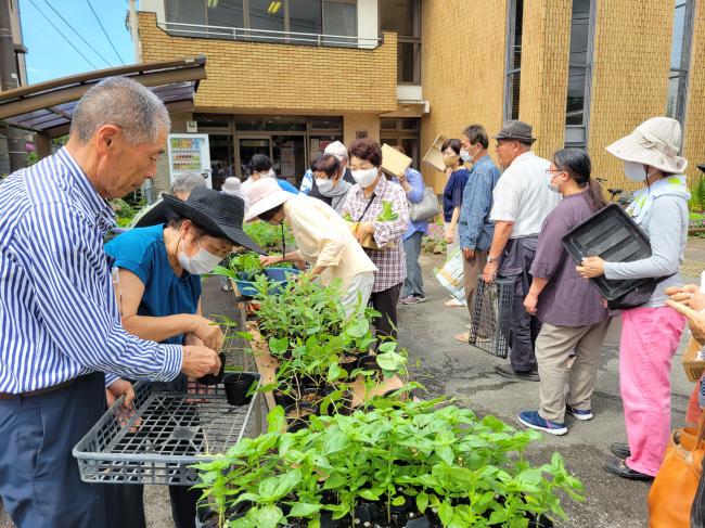 東条公民館で花の苗を配布している様子