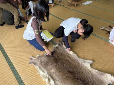 けがわのかんさつ