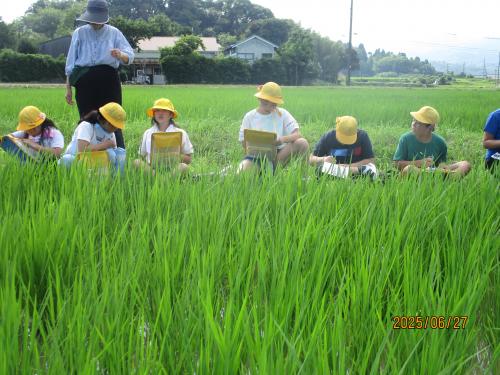 6人が座って観察する様子
