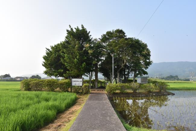 主基斎田公園の全景