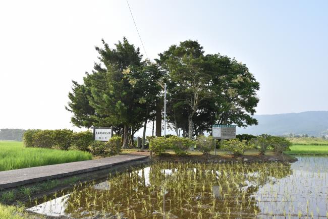 主基斎田の右側