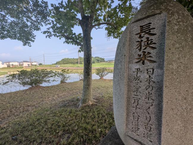 長狭米のオブジェ