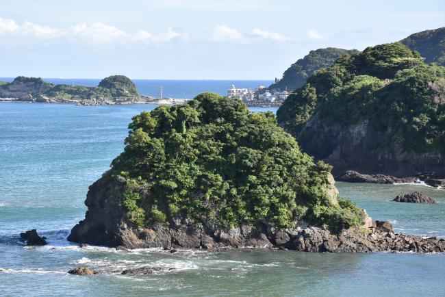 島のアップの写真