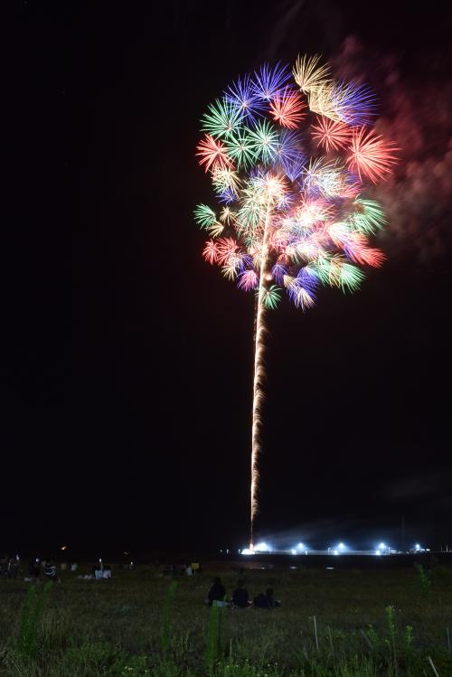 鴨川市民花火大会の打ち上げ花火の写真2