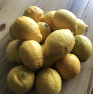 ＜鴨川産レモン＞の画像7