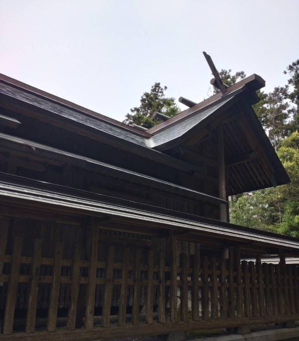 神明7