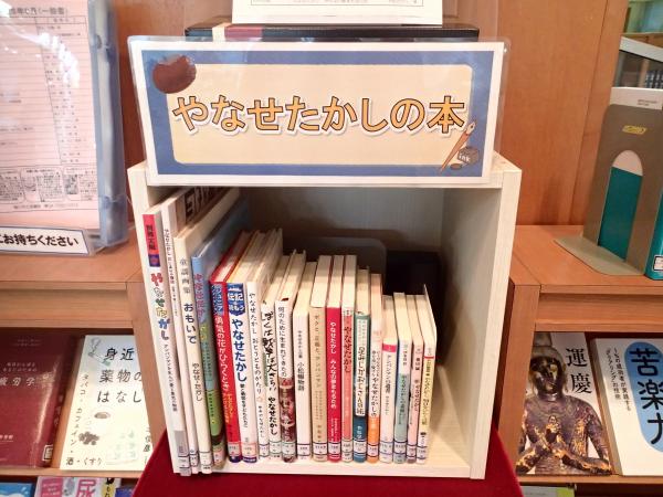 展示の様子