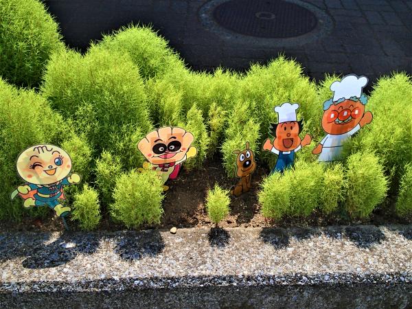 コキアのマリから顔を出すキャラクターたち