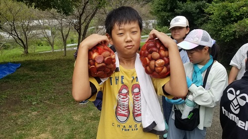たくさん栗がとれました2